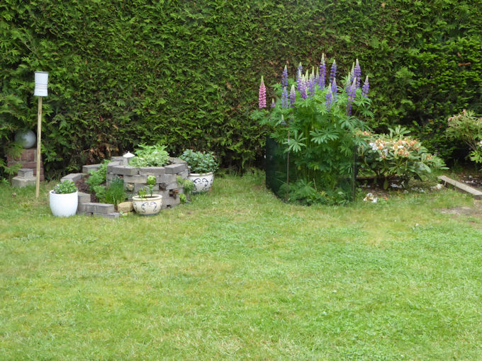Garten_mitte